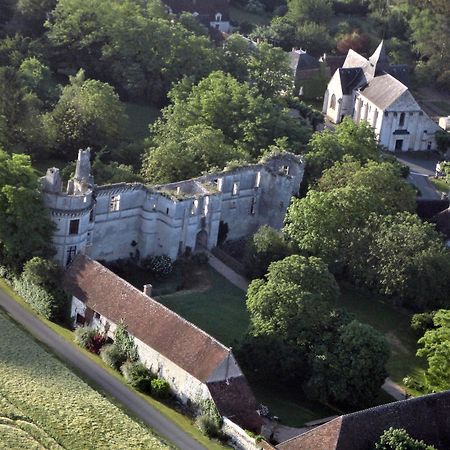 Chateau De Veuil Bagian luar foto