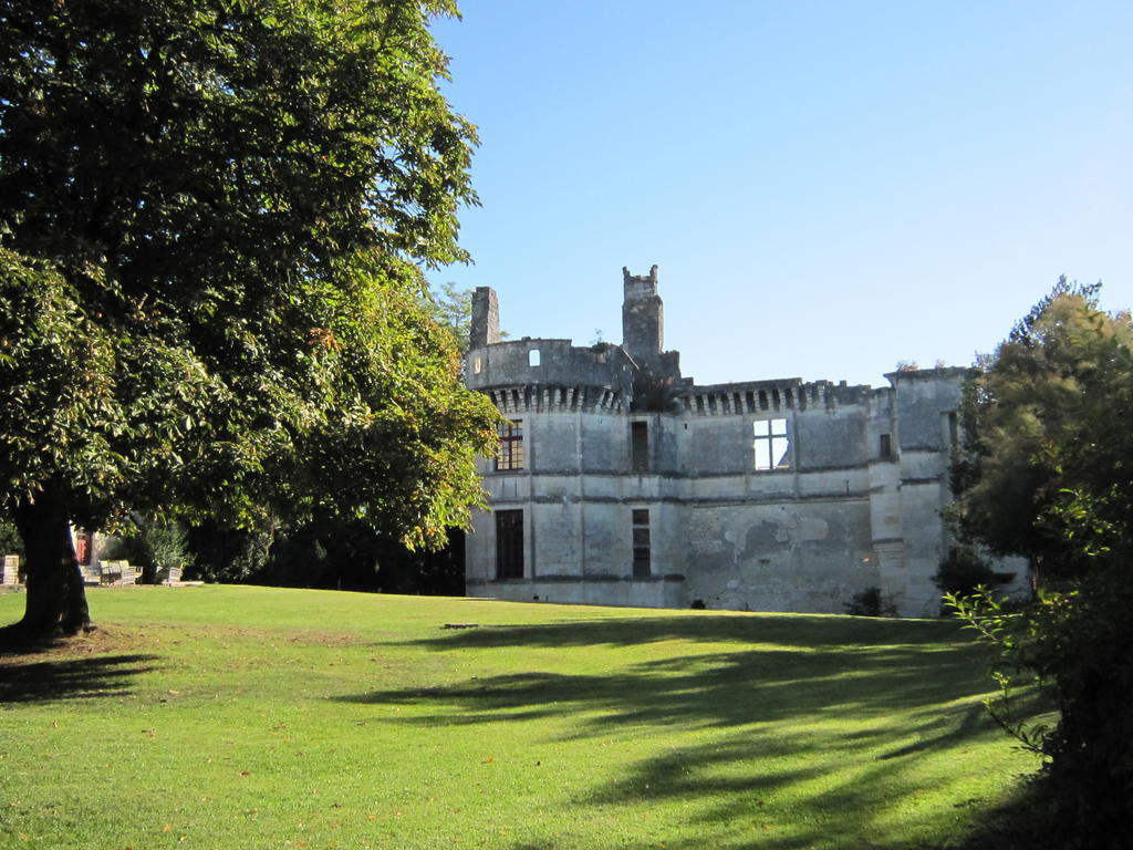 Chateau De Veuil Bagian luar foto