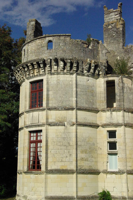 Chateau De Veuil Bagian luar foto